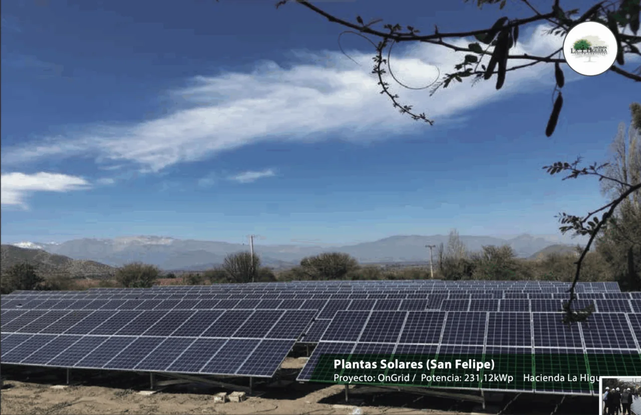 Planta solar de Venergía en Hacienda La Higuera, San Felipe